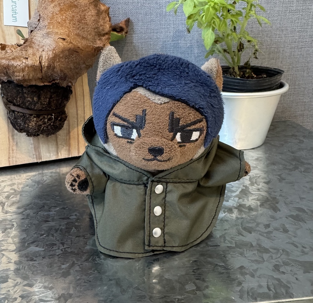 レインポンチョ☔