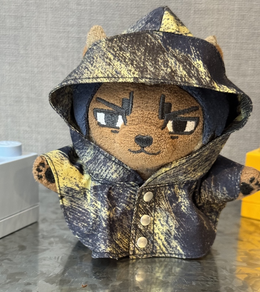 レインポンチョ☔
