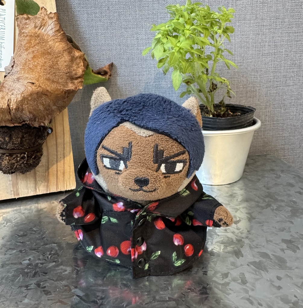 レインポンチョ☔
