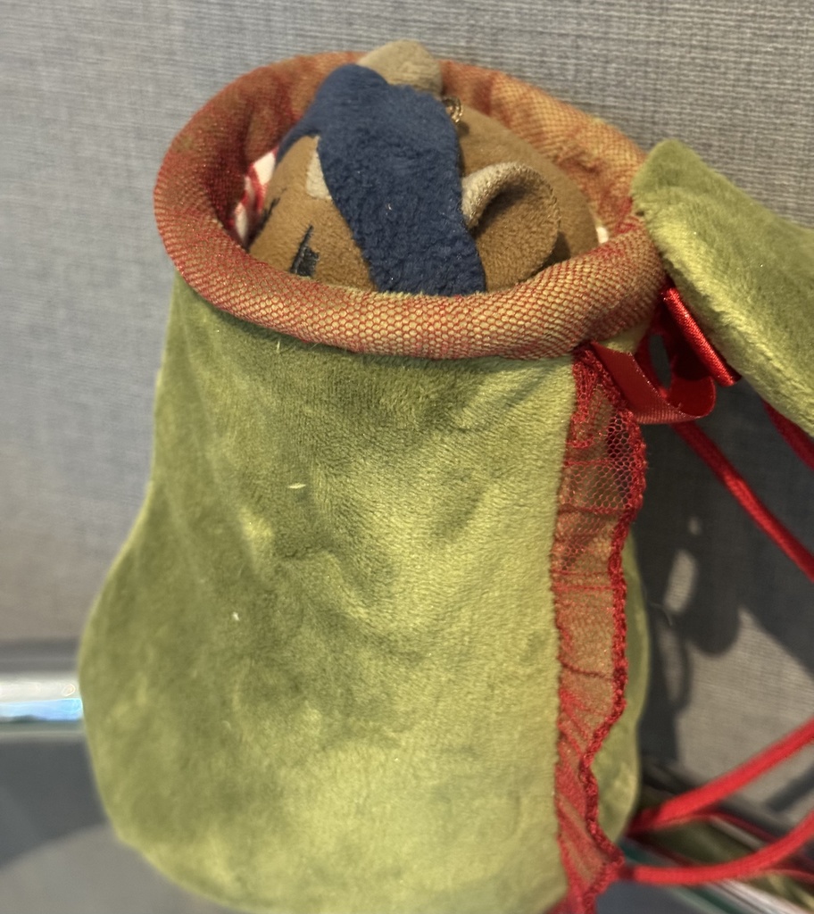 🌱ウツボカズラの着ぐるみ