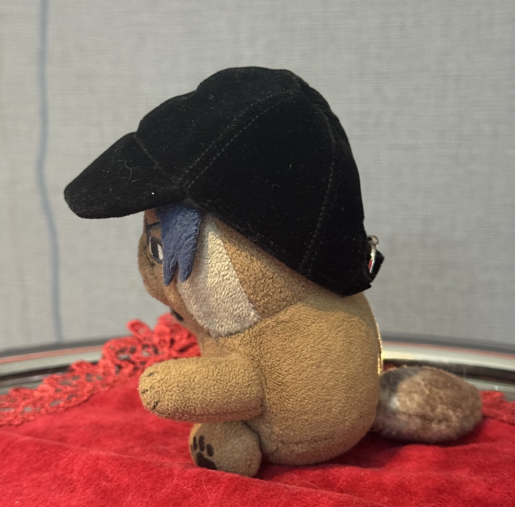 ベルベットのキャップ