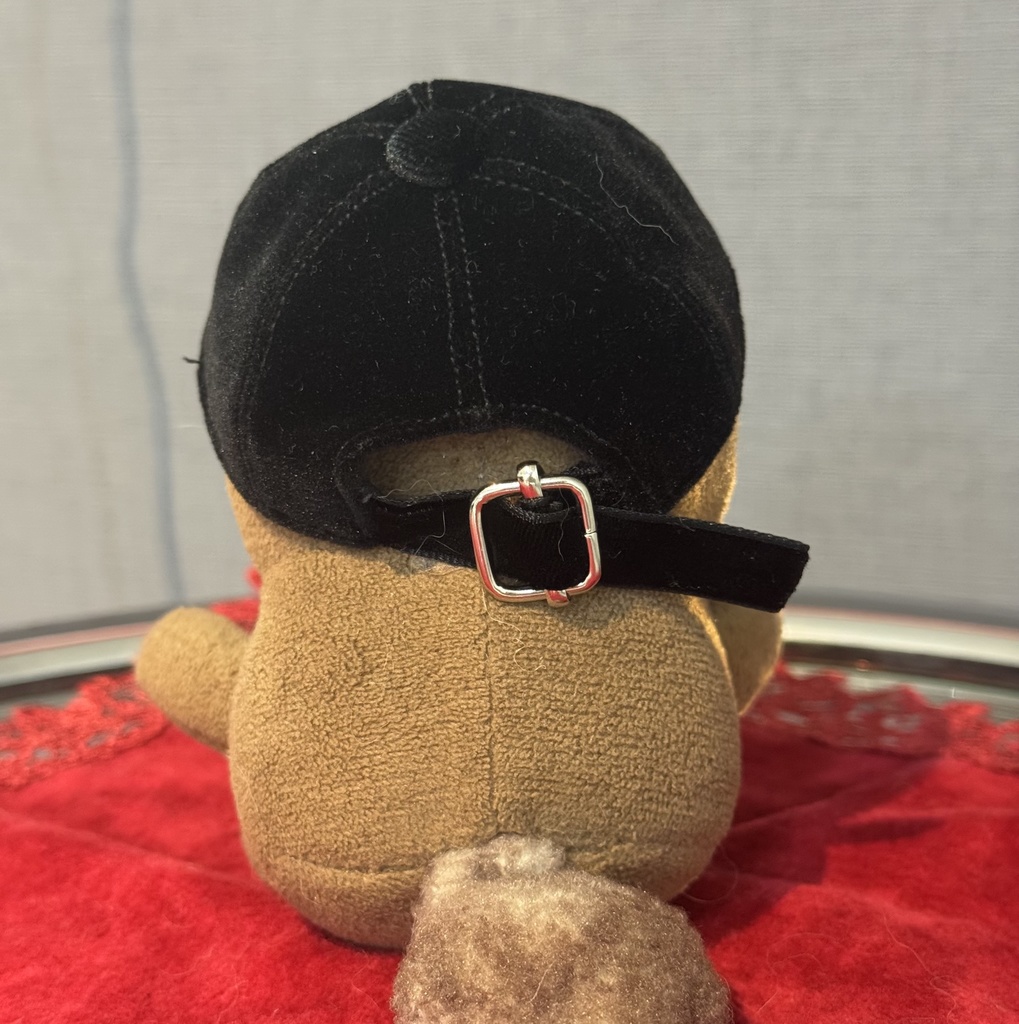 ベルベットのキャップ