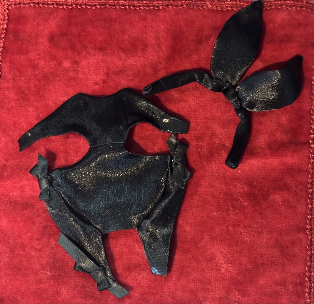 🐇バニースーツ