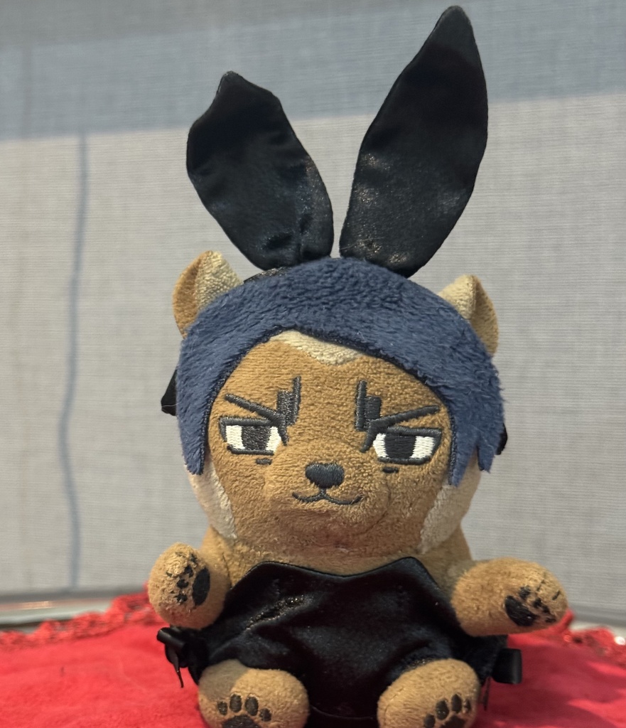 🐇バニースーツ