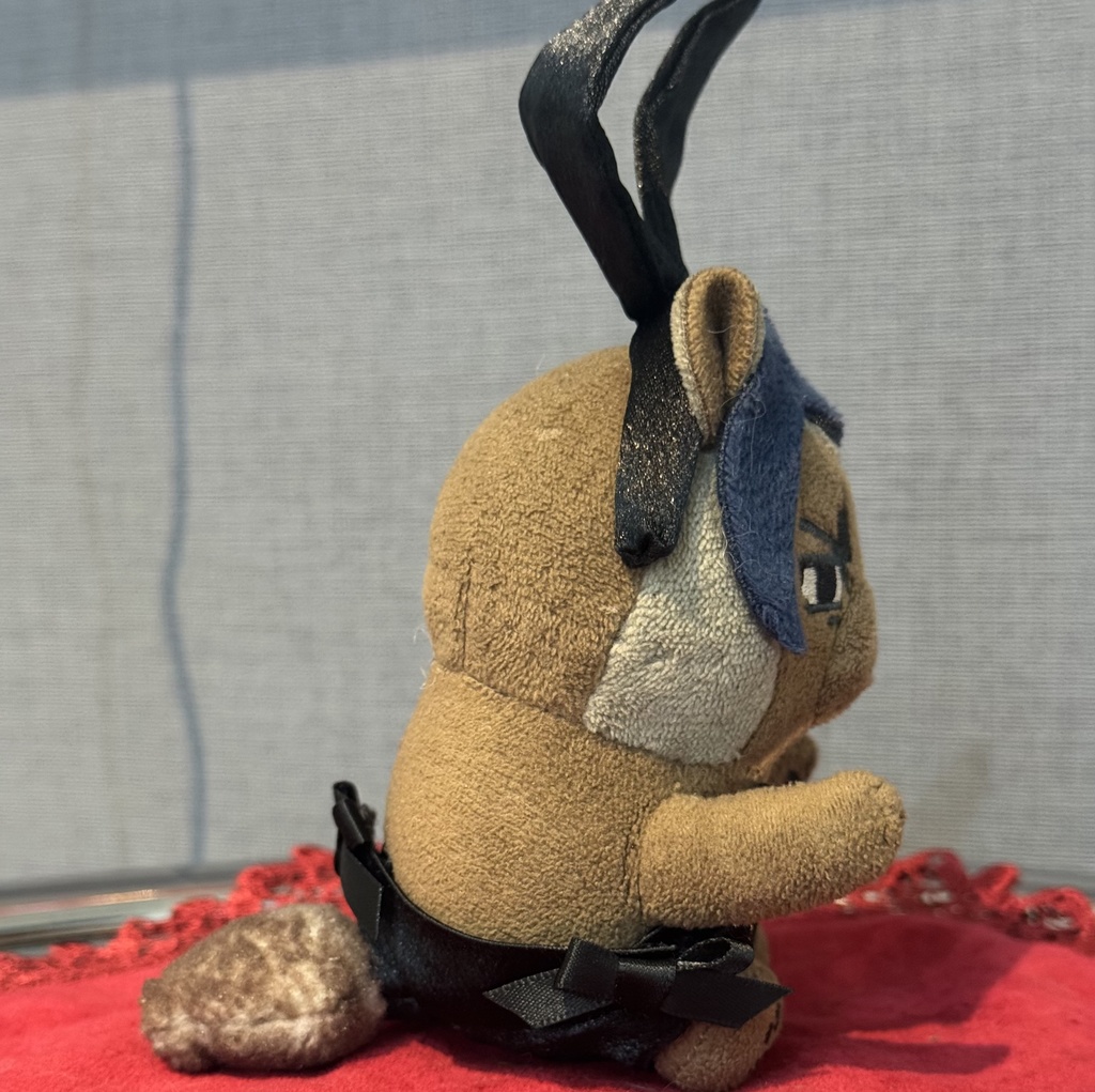 🐇バニースーツ