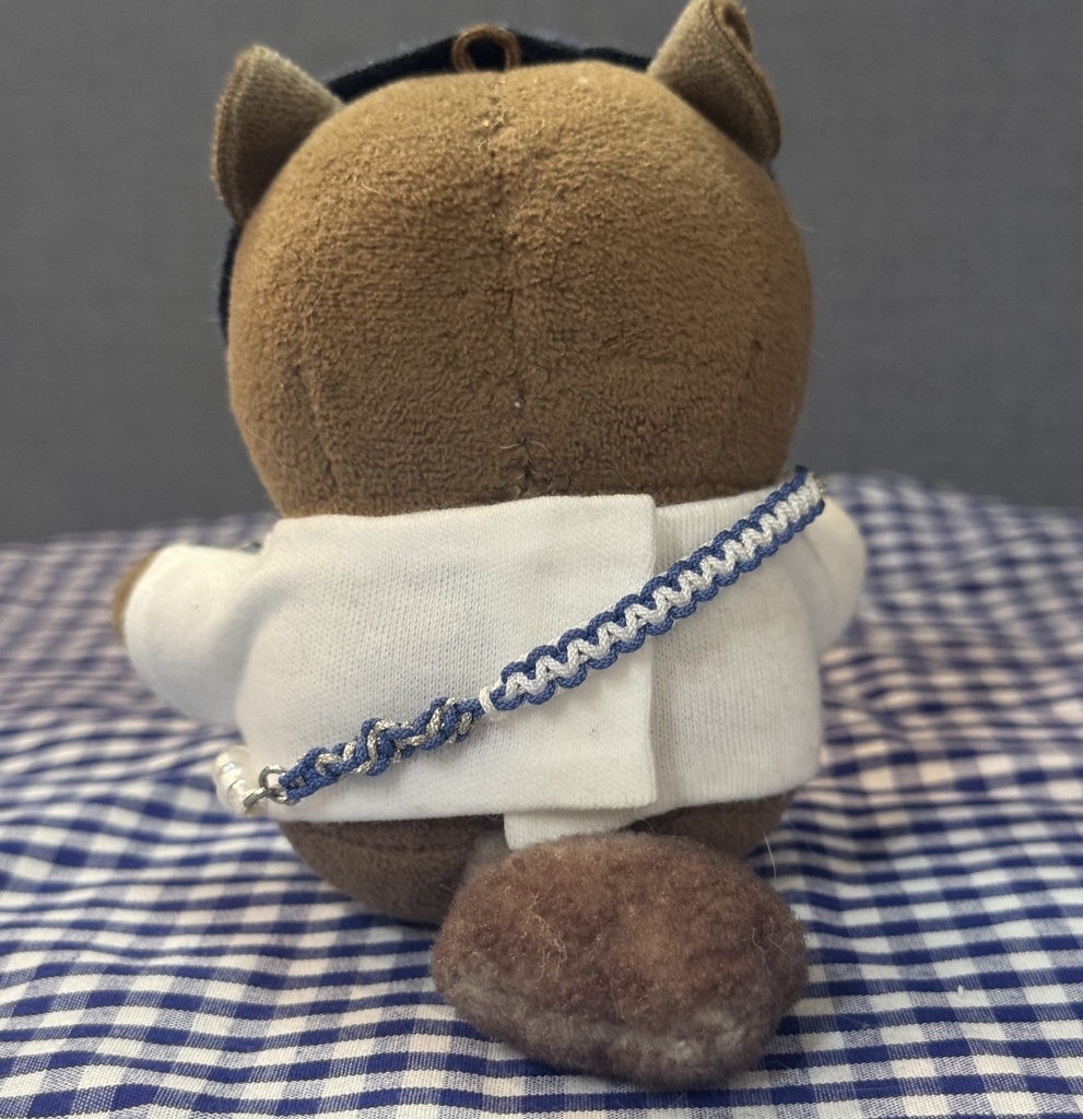 スマホショルダー📱