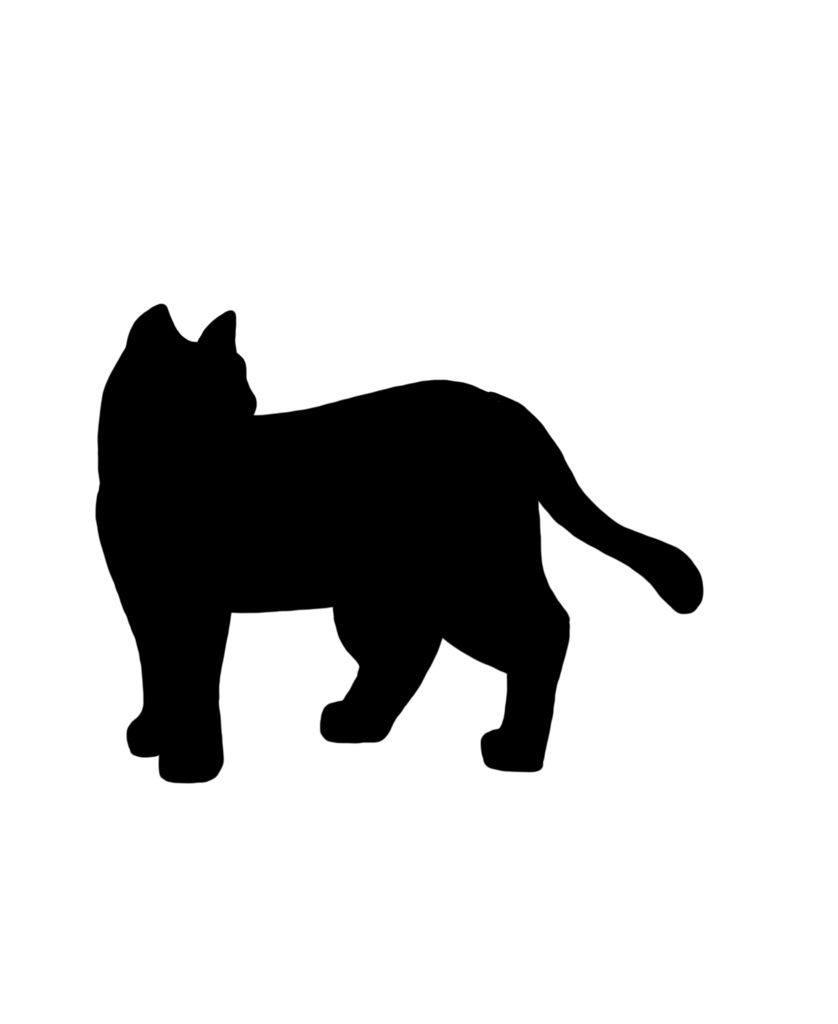 Black Cats 🐈 黒猫