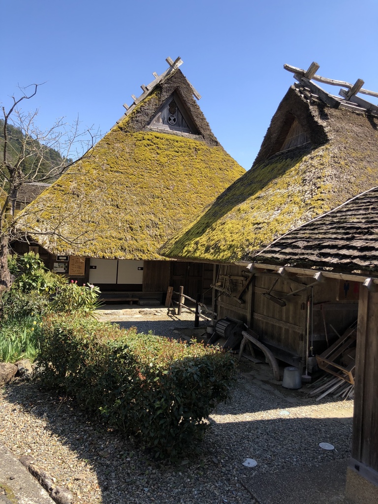 京都、美山のからぶき屋根の里と道中の5月の鯉のぼり