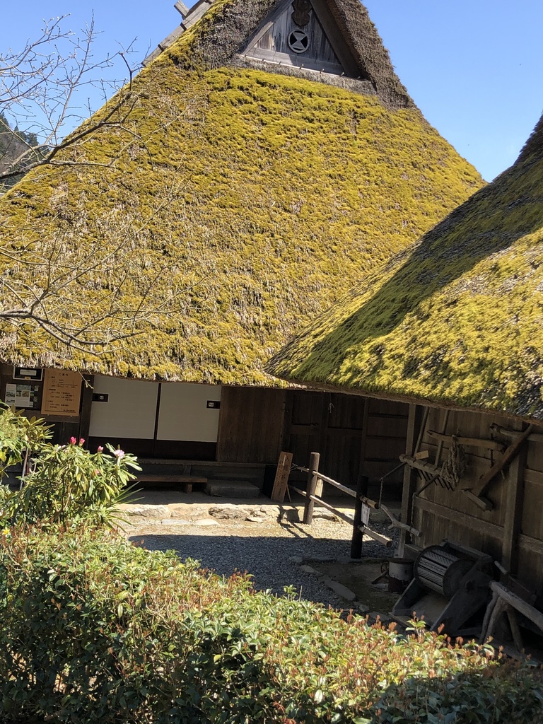 京都、美山のからぶき屋根の里と道中の5月の鯉のぼり