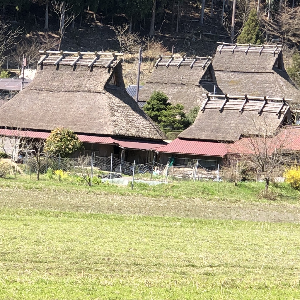 京都、美山のからぶき屋根の里と道中の5月の鯉のぼり