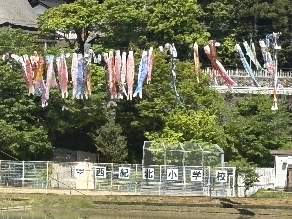 京都、美山のからぶき屋根の里と道中の5月の鯉のぼり