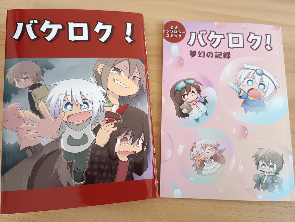 数量限定!ブックケース付セット