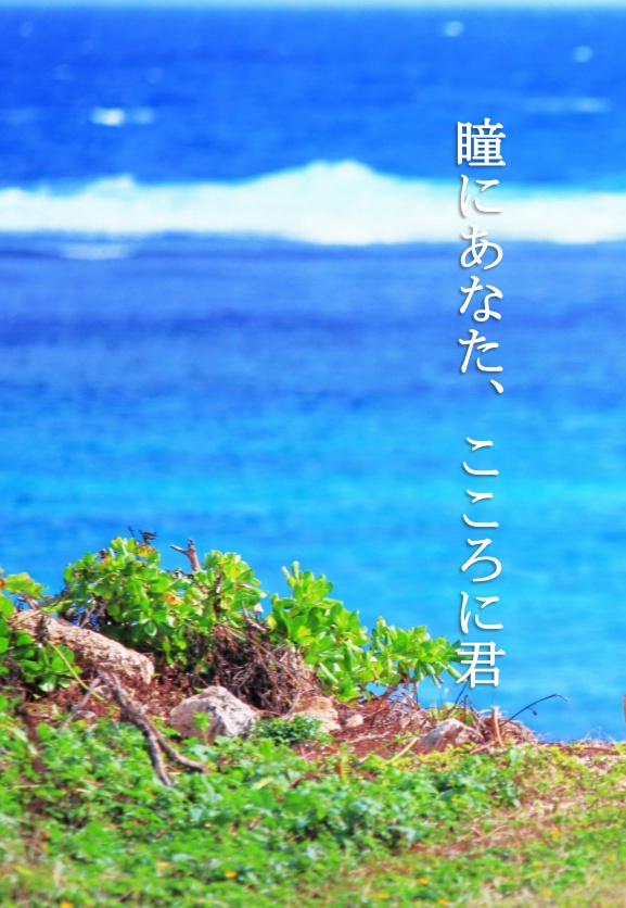 瞳にあなた、こころに君