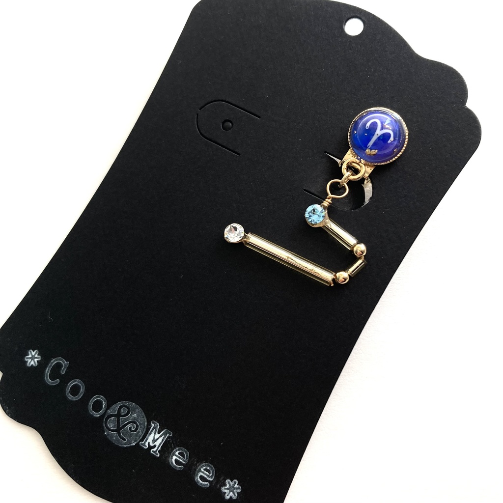 星降る夜の牡羊座イヤリング