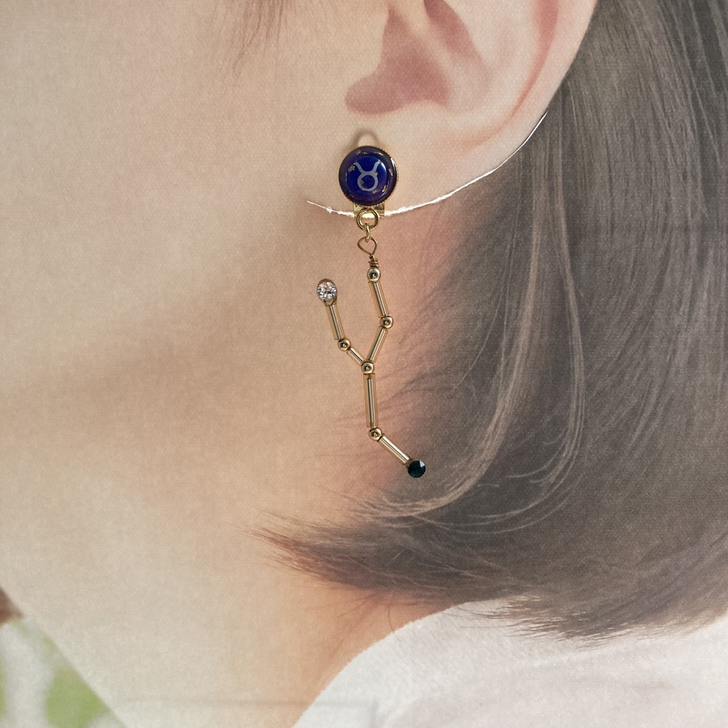 星降る夜の牡牛座イヤリング