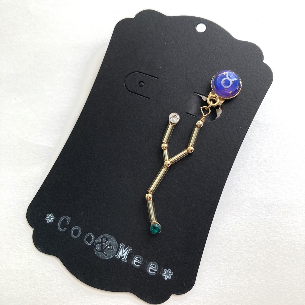 星降る夜の牡牛座イヤリング