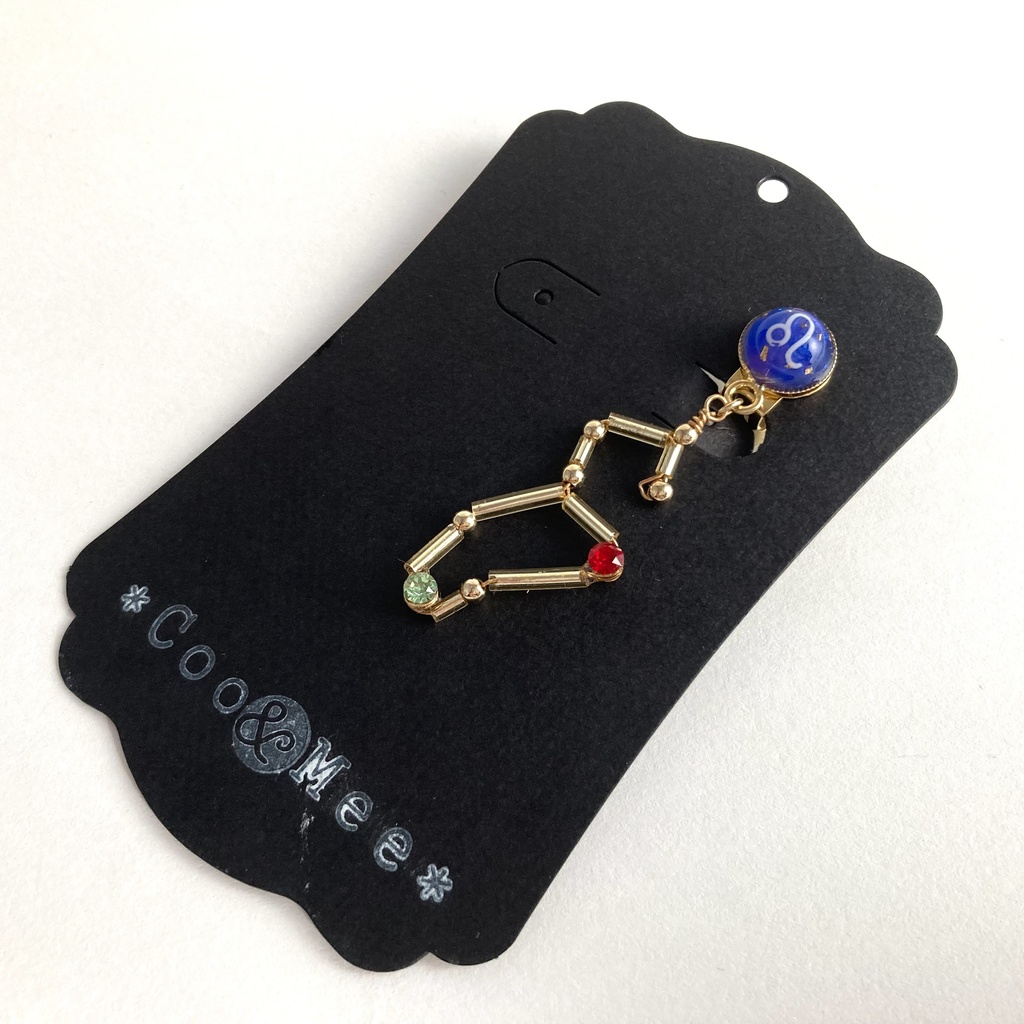 星降る夜の獅子座イヤリング