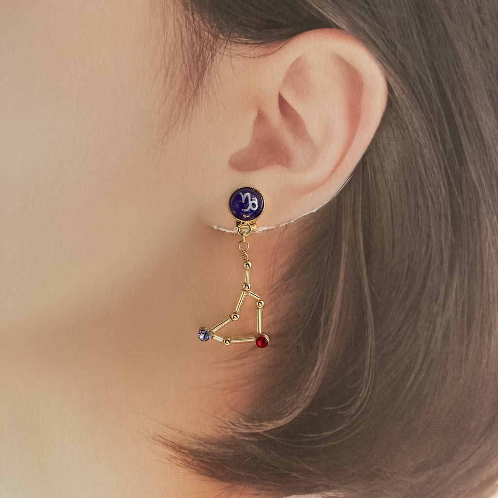 星降る夜の山羊座イヤリング