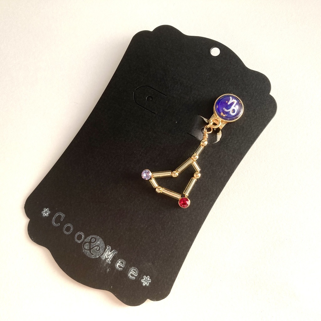 星降る夜の山羊座イヤリング