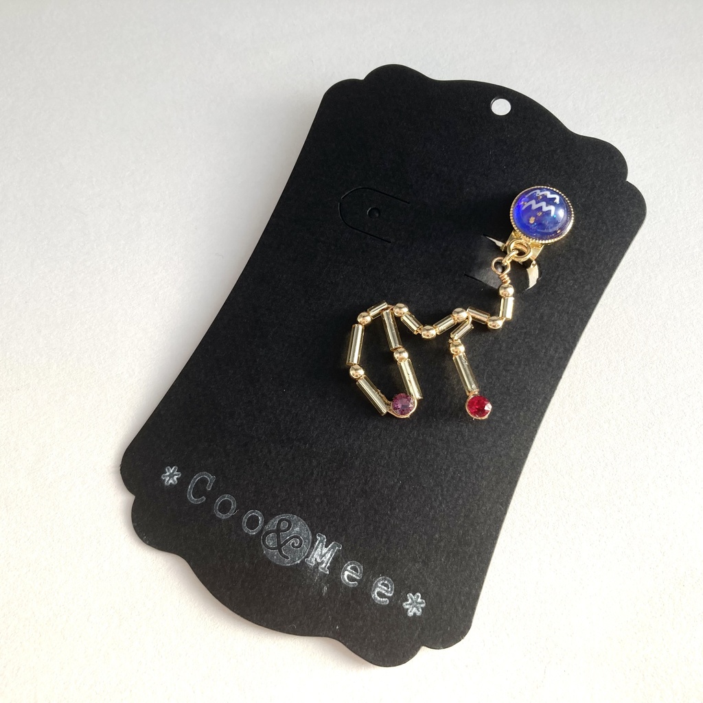 星降る夜の水瓶座イヤリング