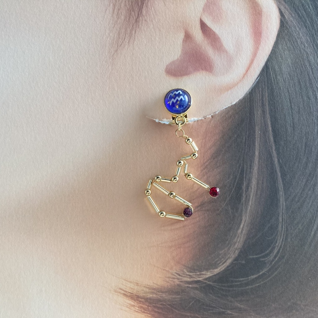 星降る夜の水瓶座イヤリング