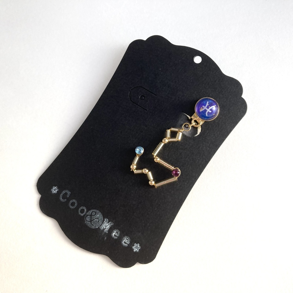 星降る夜の魚座イヤリング