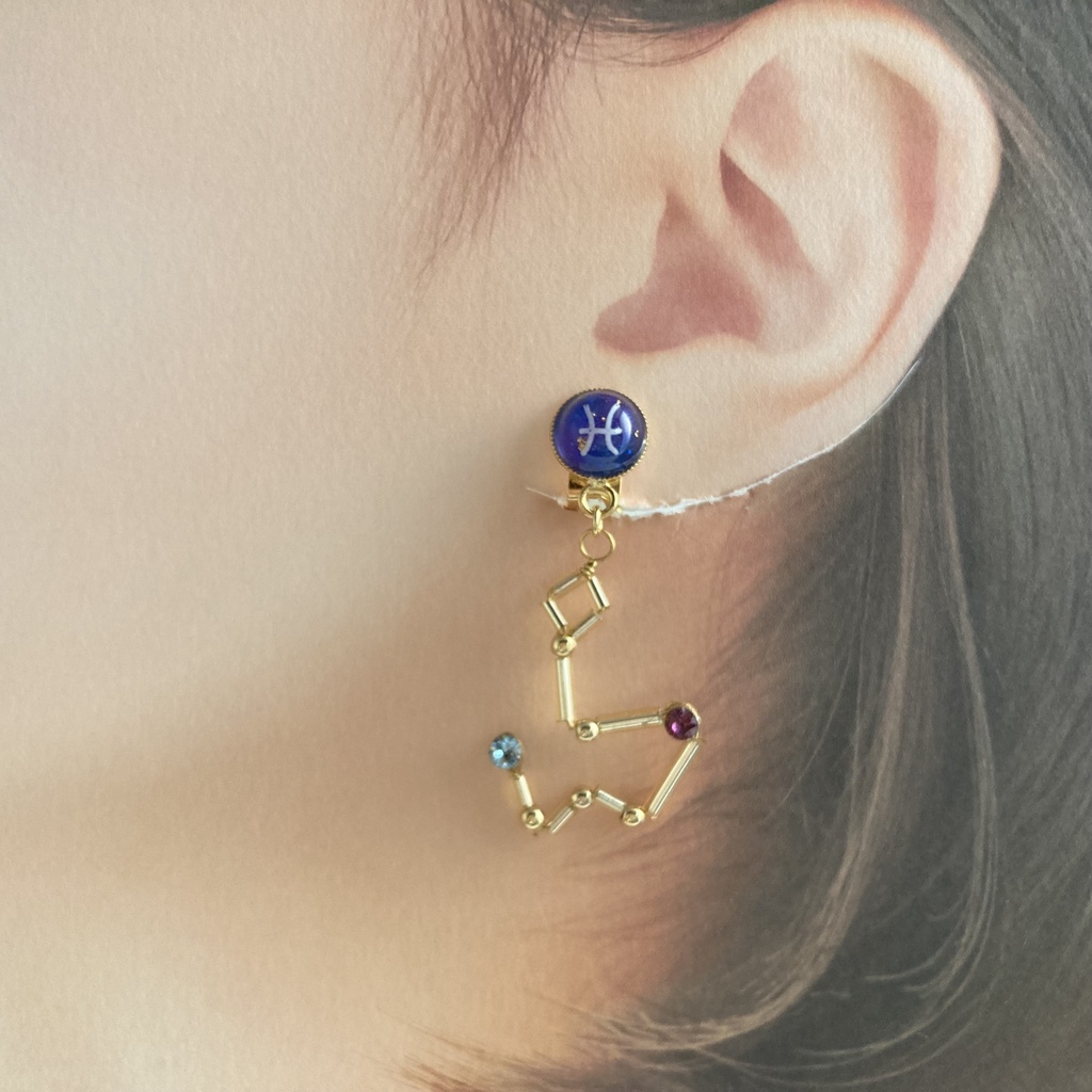 星降る夜の魚座イヤリング