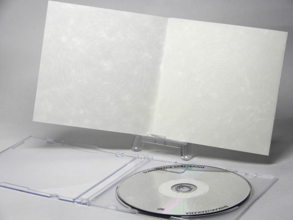 SUBSURFACE SCATTERING(CD)