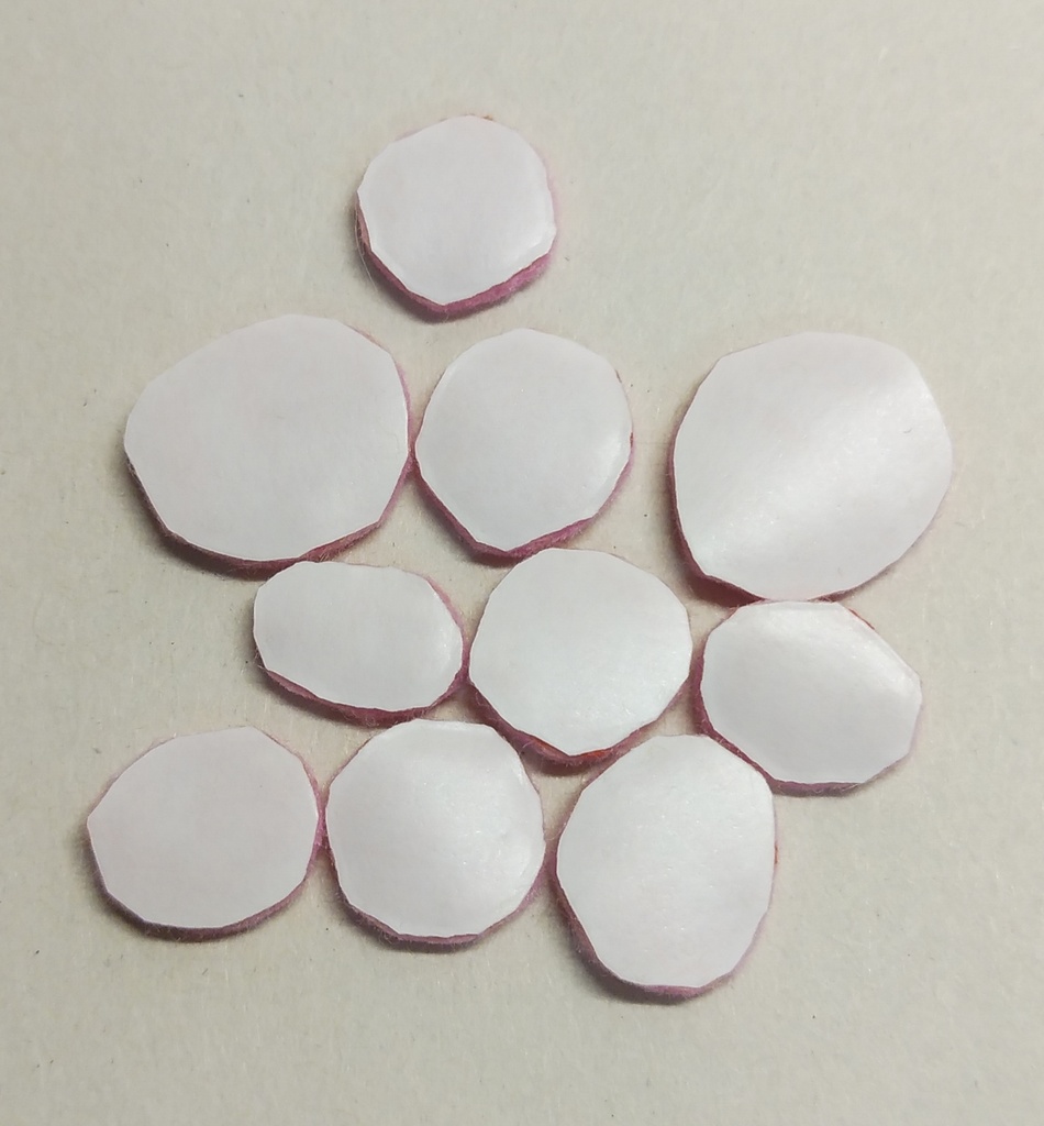 レッドのドットシール【刺繍シール】