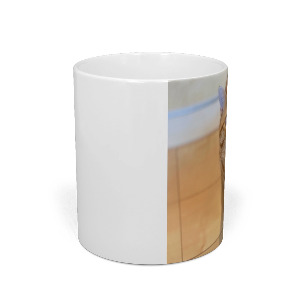 図柄位置別ver.茶々くんオリジナルマグカップ