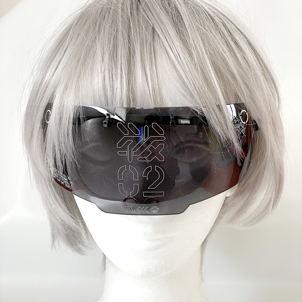 バイザーグラスユニット02