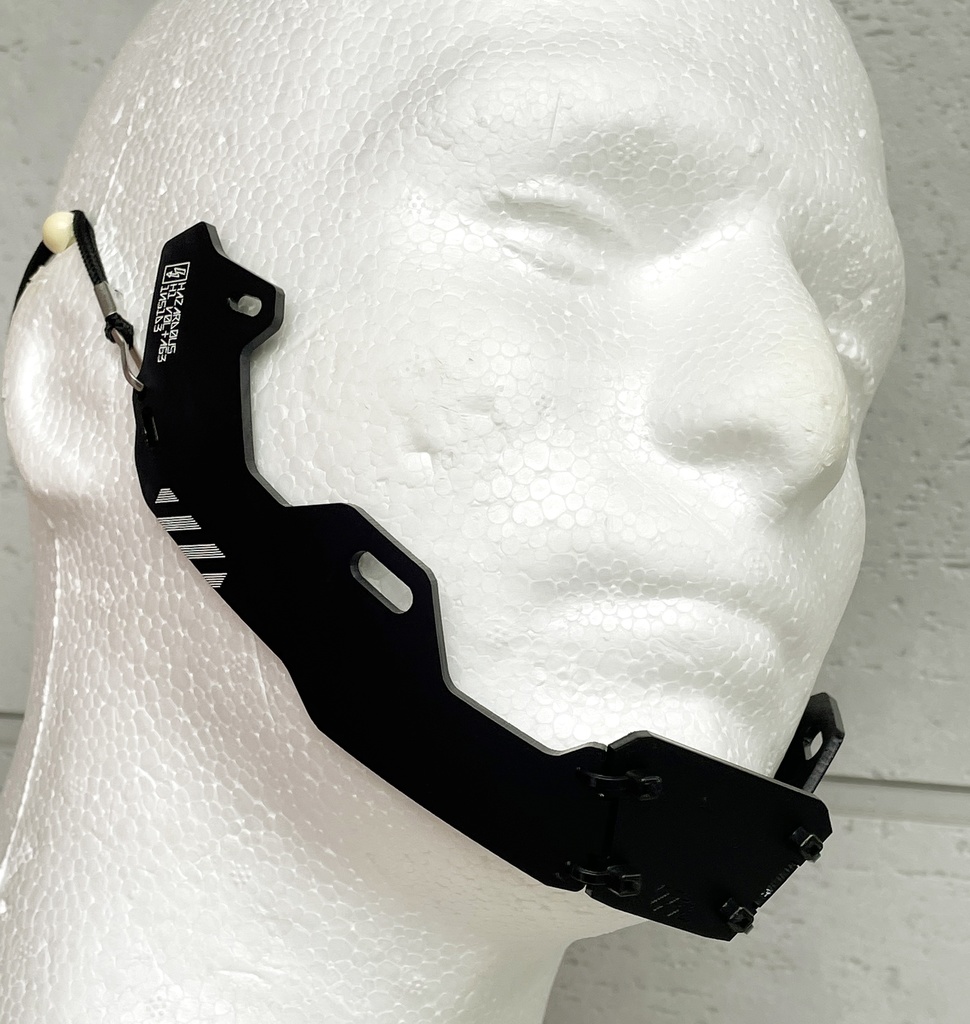 フェイスライン用追加装甲ユニット