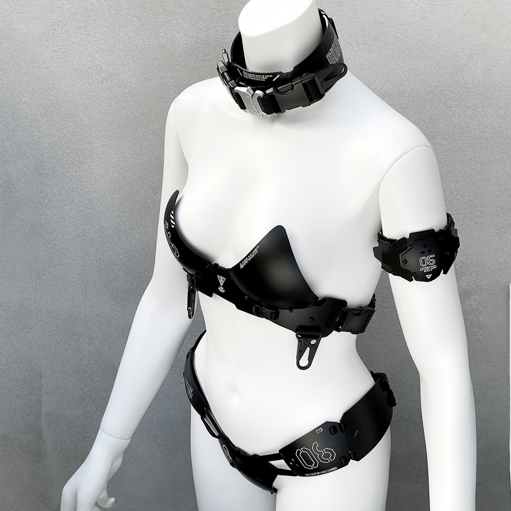 装甲ビキニユニット type06 フルセット