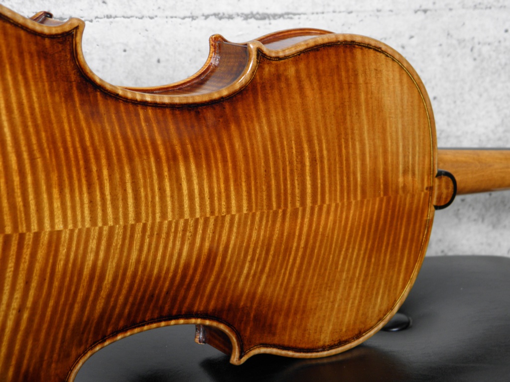 バイオリンとビオラ 画像資料集(秋の半額セール 2025/11/09まで)