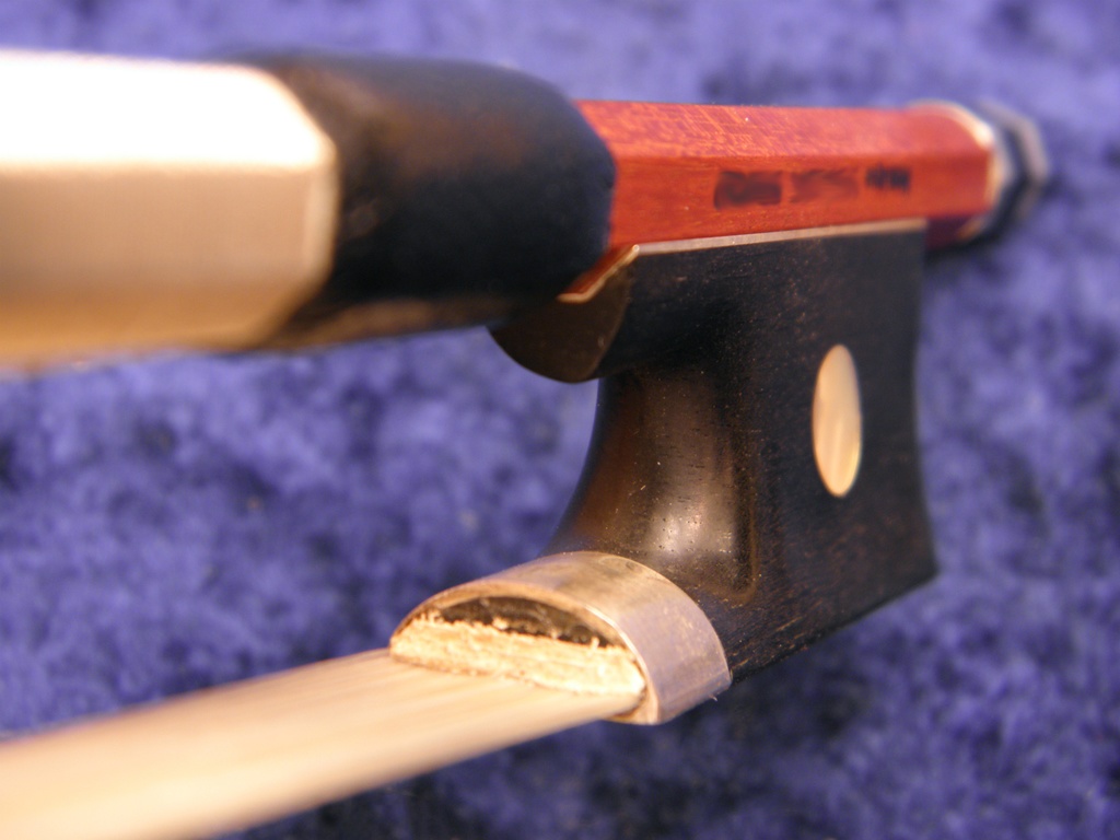 バイオリンとビオラ 画像資料集(秋の半額セール 2025/11/09まで)