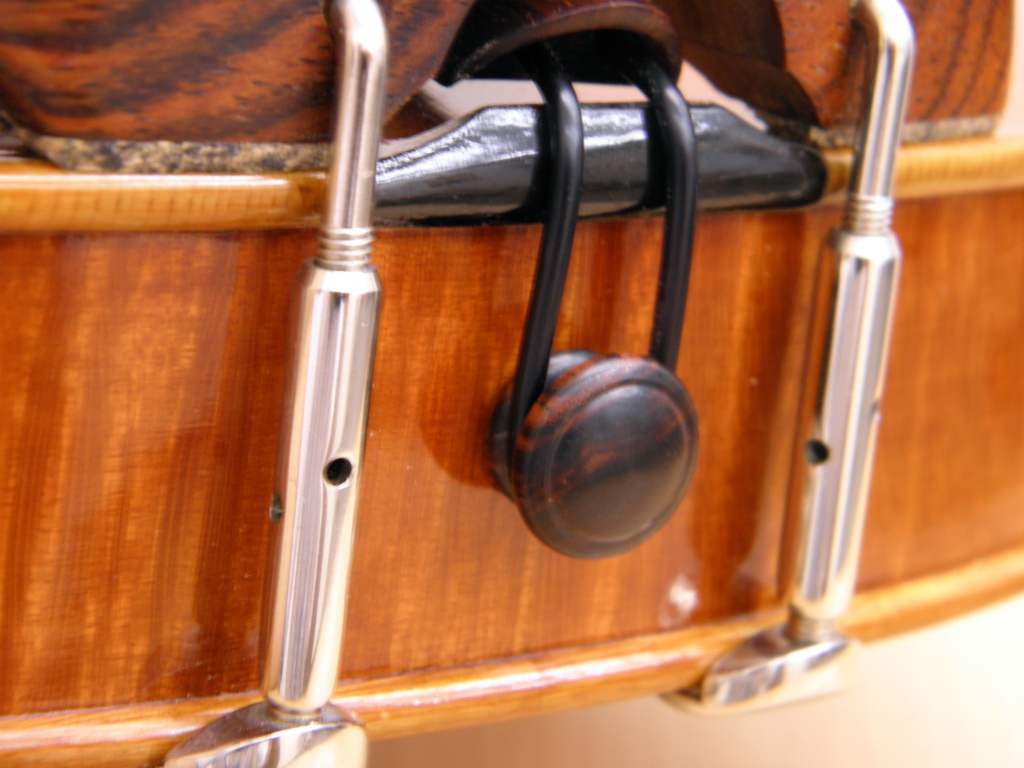 バイオリンとビオラ 画像資料集(秋の半額セール 2025/11/09まで)