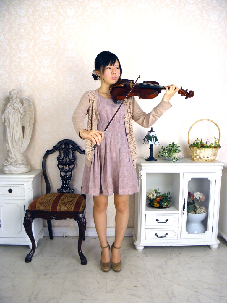 バイオリンとビオラ 画像資料集(秋の半額セール 2025/11/09まで)