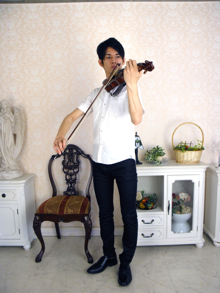 バイオリンとビオラ 画像資料集(秋の半額セール 2025/11/09まで)