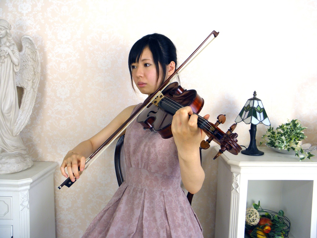 バイオリンとビオラ 画像資料集(秋の半額セール 2025/11/09まで)