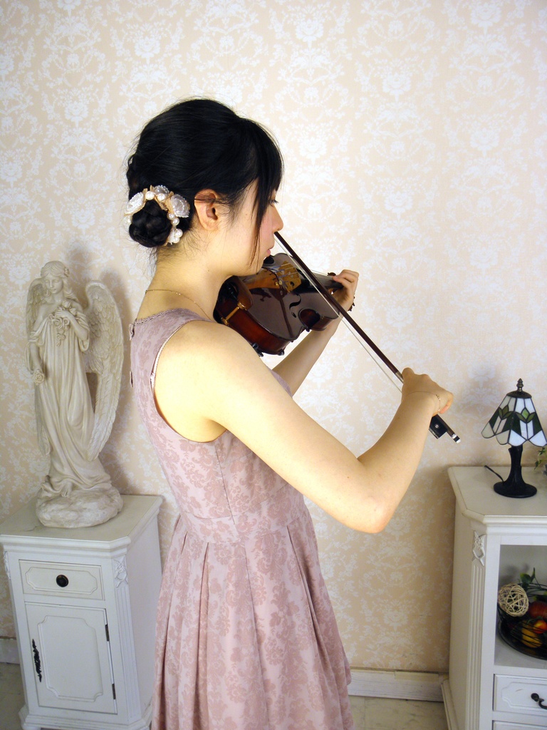 バイオリンとビオラ 画像資料集(秋の半額セール 2025/11/09まで)