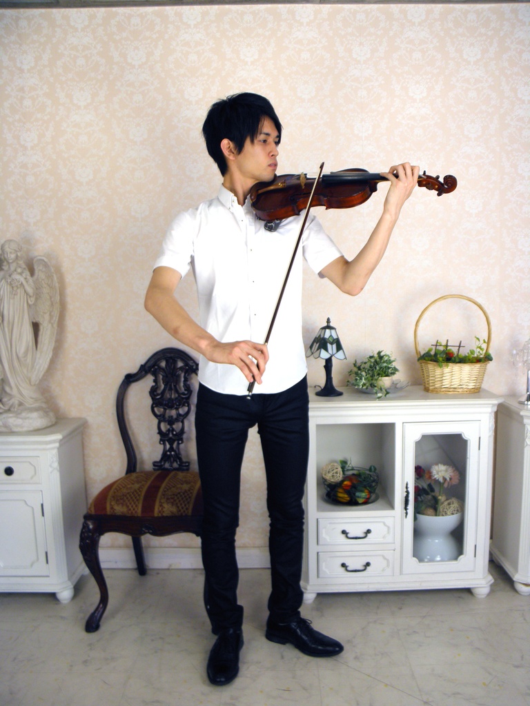 バイオリンとビオラ 画像資料集(秋の半額セール 2025/11/09まで)