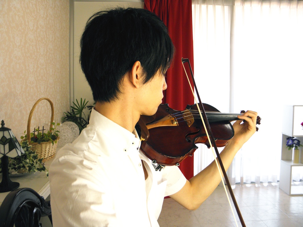 バイオリンとビオラ 画像資料集(秋の半額セール 2025/11/09まで)