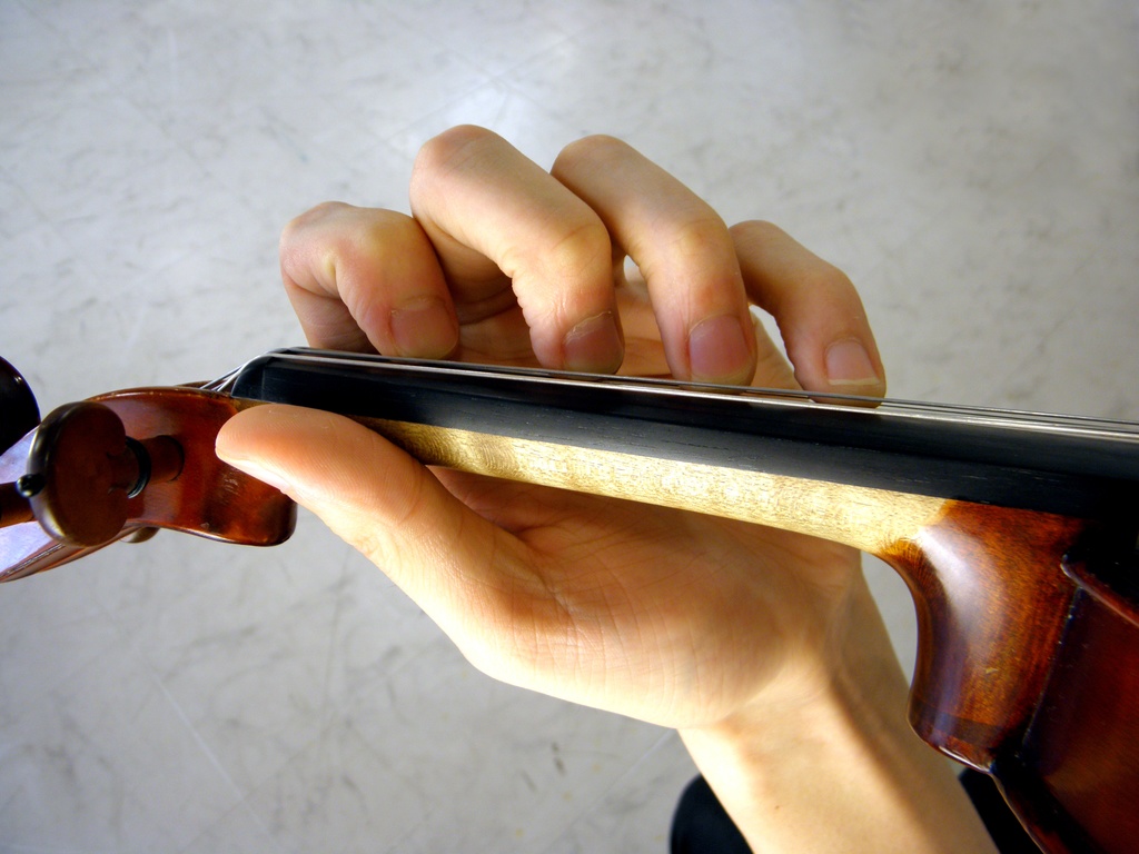 バイオリンとビオラ 画像資料集(秋の半額セール 2025/11/09まで)