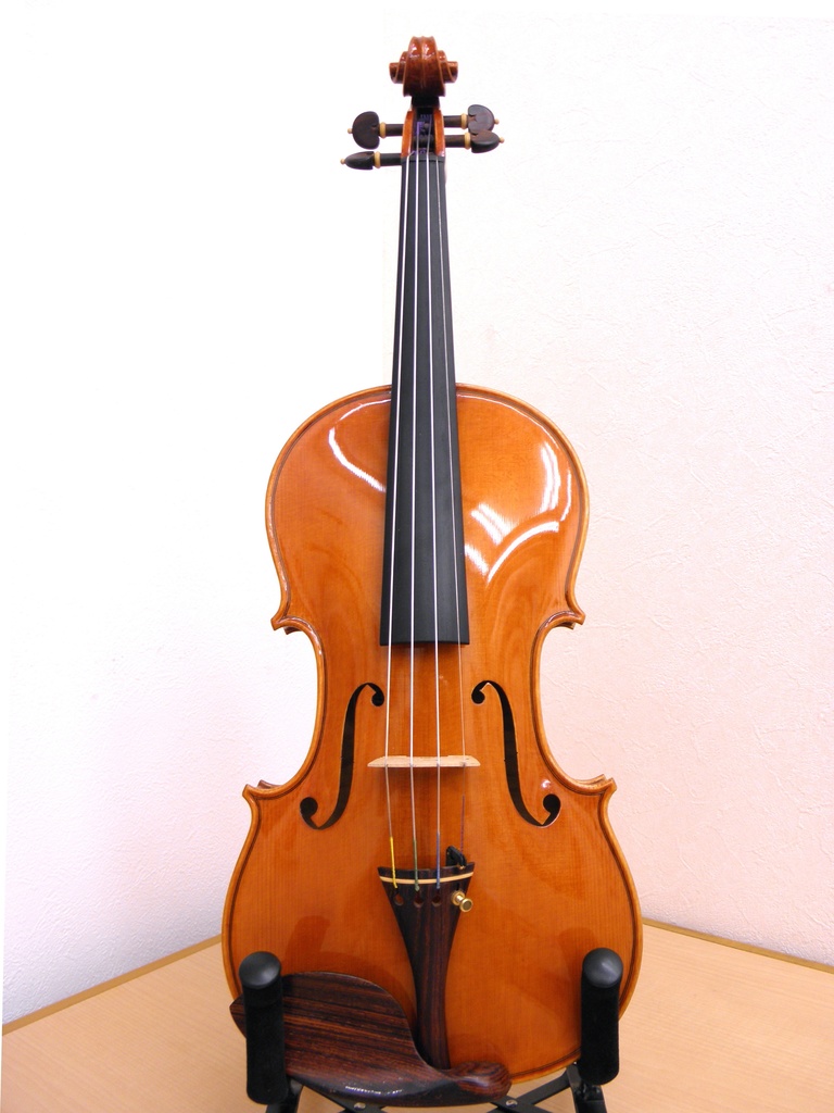 バイオリンとビオラ 画像資料集(秋の半額セール 2025/11/09まで)