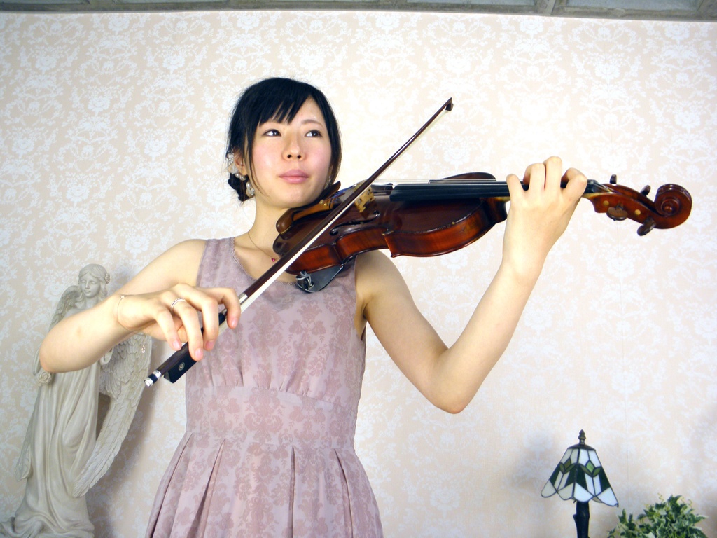 バイオリンとビオラ 画像資料集(秋の半額セール 2025/11/09まで)