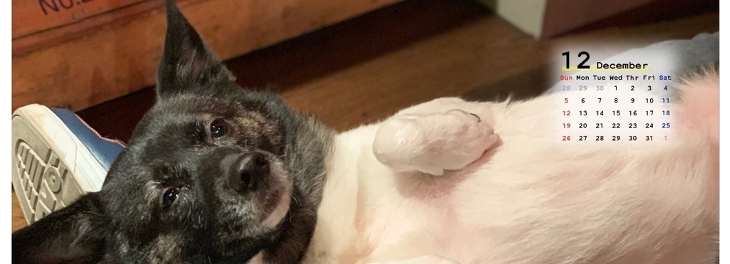 おかみカレンダー202104-202203フルセット