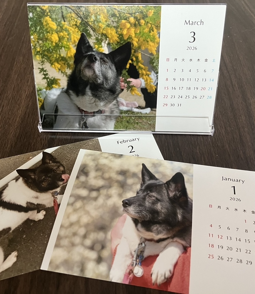 （自宅から発送）おかみカレンダー2026