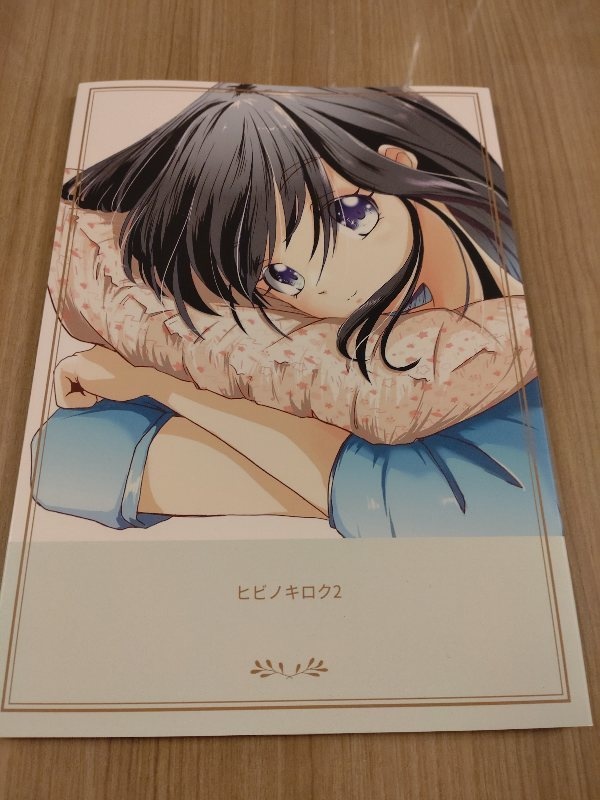 ヒビノキロク2