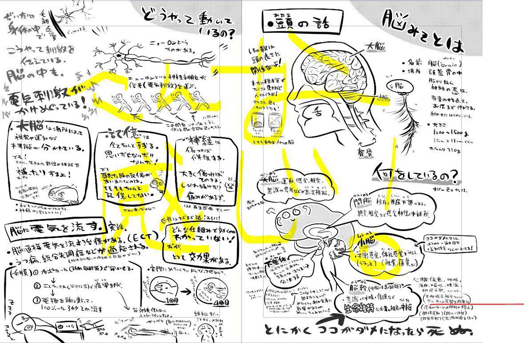 DL】みんなのための解剖生理