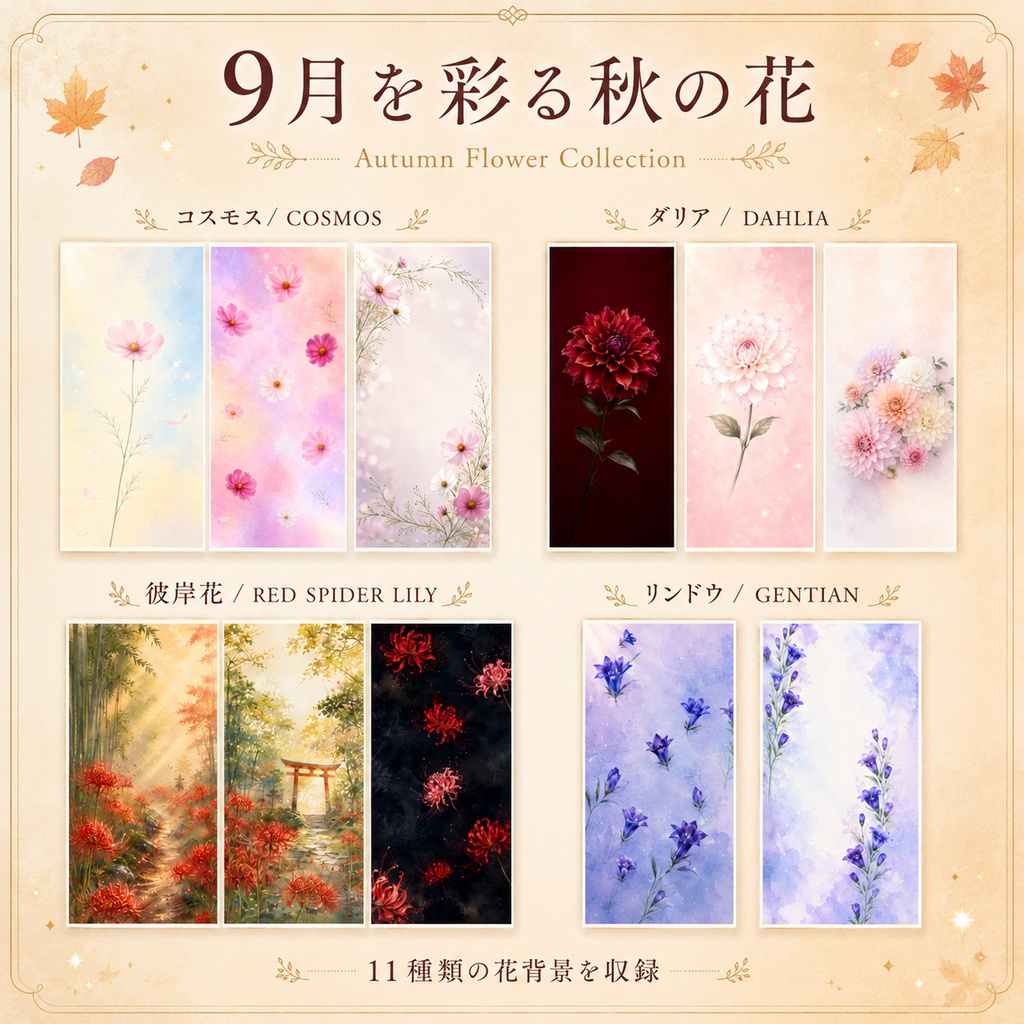 【9月・秋】秋の花と季節背景14枚セット|スマホ壁紙・配信背景
